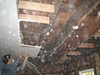 just-craig > Week 2 photo