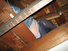 just-craig > Week 2 photo